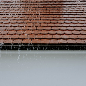 Can a handyman repair a roof