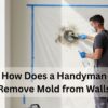 How Does a Handyman Remove Mold from Walls