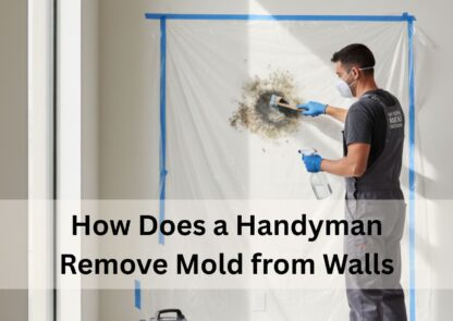 How Does a Handyman Remove Mold from Walls